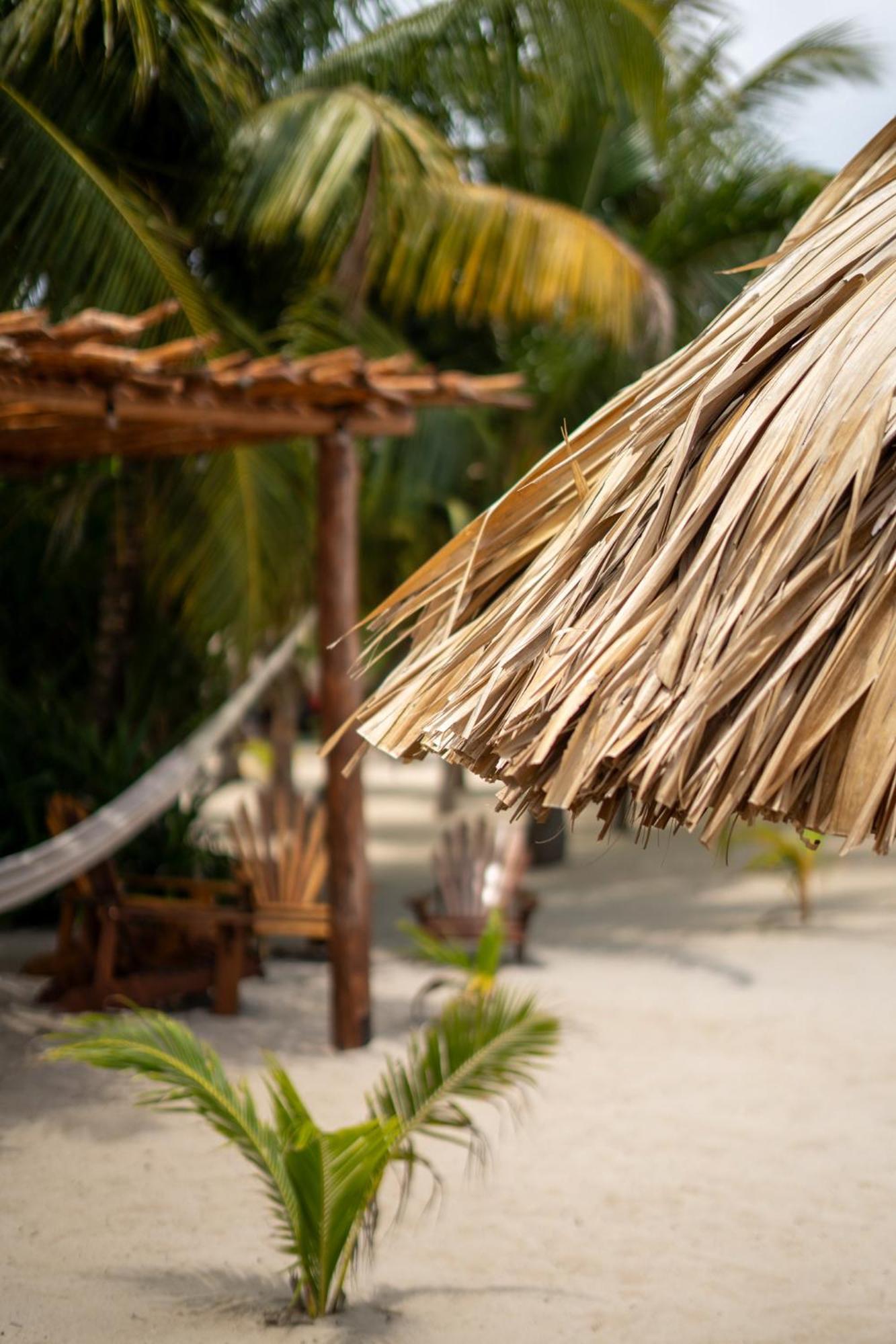 Kalimera Beach Hotel Maya Beach Bagian luar foto